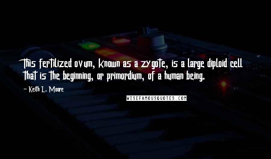 Keith L. Moore Quotes: This fertilized ovum, known as a zygote, is a large diploid cell that is the beginning, or primordium, of a human being.