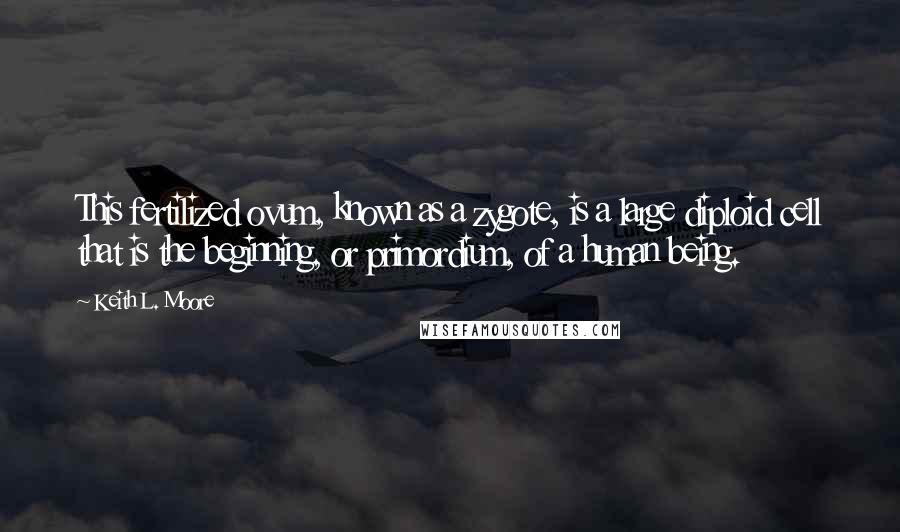 Keith L. Moore Quotes: This fertilized ovum, known as a zygote, is a large diploid cell that is the beginning, or primordium, of a human being.