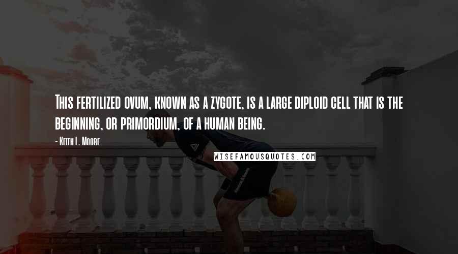 Keith L. Moore Quotes: This fertilized ovum, known as a zygote, is a large diploid cell that is the beginning, or primordium, of a human being.