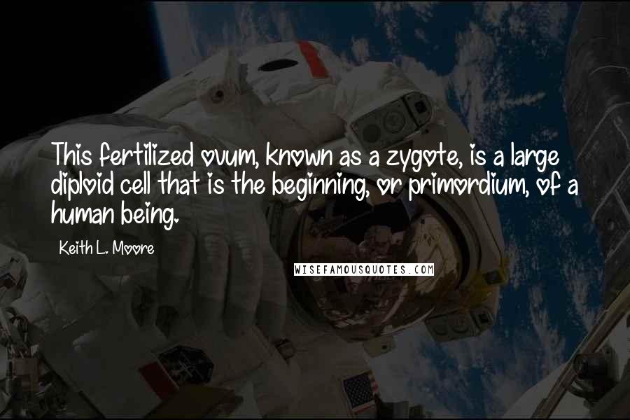 Keith L. Moore Quotes: This fertilized ovum, known as a zygote, is a large diploid cell that is the beginning, or primordium, of a human being.