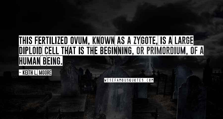 Keith L. Moore Quotes: This fertilized ovum, known as a zygote, is a large diploid cell that is the beginning, or primordium, of a human being.