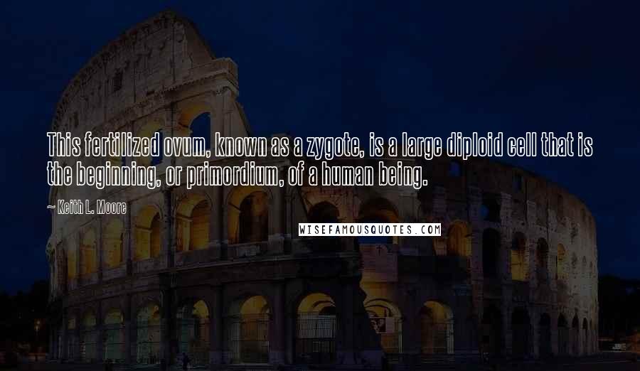 Keith L. Moore Quotes: This fertilized ovum, known as a zygote, is a large diploid cell that is the beginning, or primordium, of a human being.