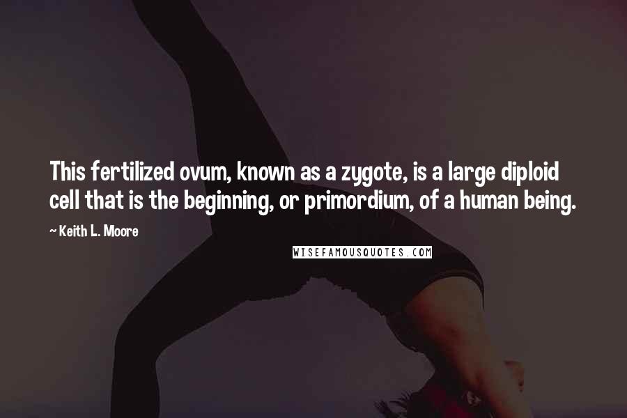 Keith L. Moore Quotes: This fertilized ovum, known as a zygote, is a large diploid cell that is the beginning, or primordium, of a human being.