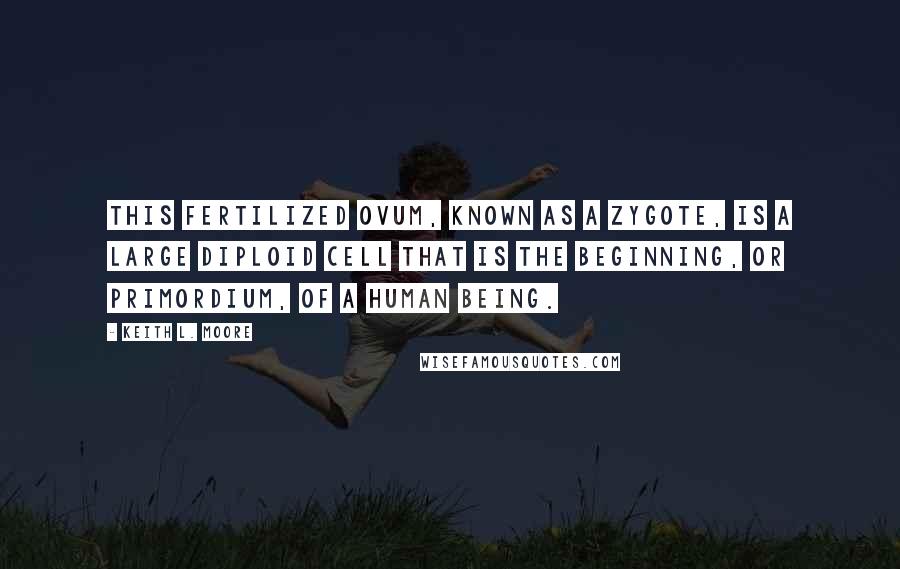 Keith L. Moore Quotes: This fertilized ovum, known as a zygote, is a large diploid cell that is the beginning, or primordium, of a human being.