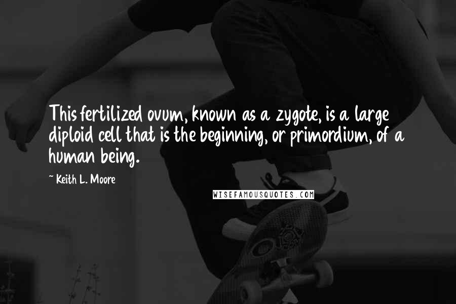 Keith L. Moore Quotes: This fertilized ovum, known as a zygote, is a large diploid cell that is the beginning, or primordium, of a human being.