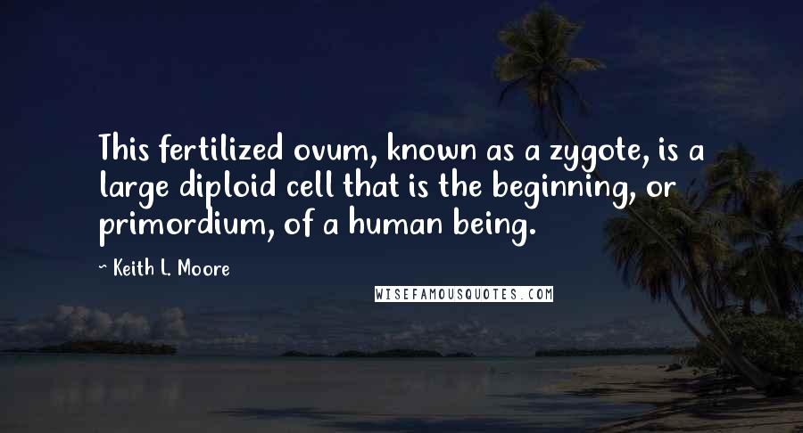 Keith L. Moore Quotes: This fertilized ovum, known as a zygote, is a large diploid cell that is the beginning, or primordium, of a human being.