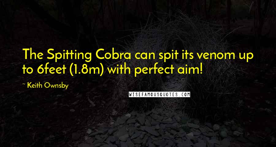 Keith Ownsby Quotes: The Spitting Cobra can spit its venom up to 6feet (1.8m) with perfect aim!