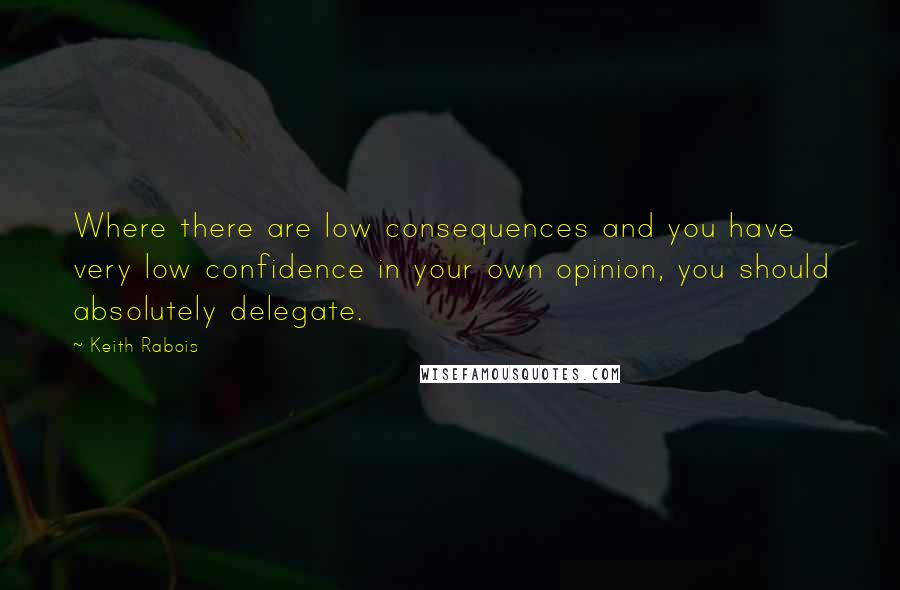 Keith Rabois Quotes: Where there are low consequences and you have very low confidence in your own opinion, you should absolutely delegate.