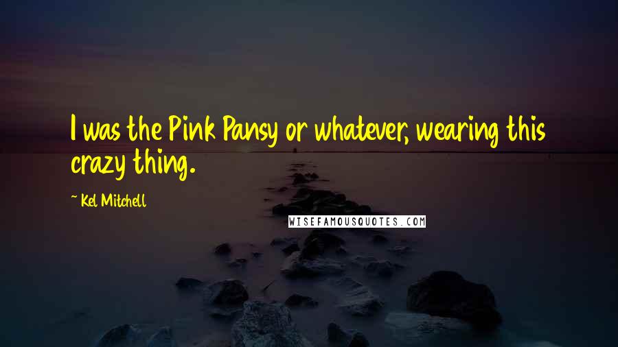 Kel Mitchell Quotes: I was the Pink Pansy or whatever, wearing this crazy thing.