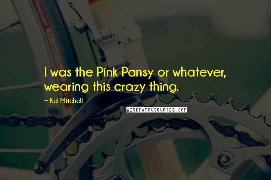 Kel Mitchell Quotes: I was the Pink Pansy or whatever, wearing this crazy thing.