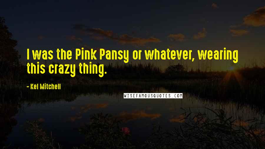 Kel Mitchell Quotes: I was the Pink Pansy or whatever, wearing this crazy thing.