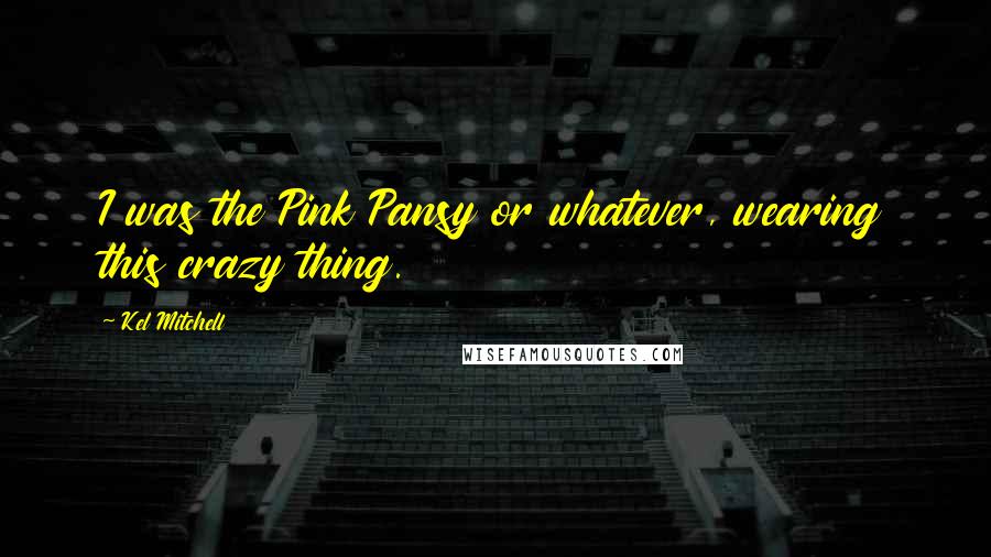 Kel Mitchell Quotes: I was the Pink Pansy or whatever, wearing this crazy thing.
