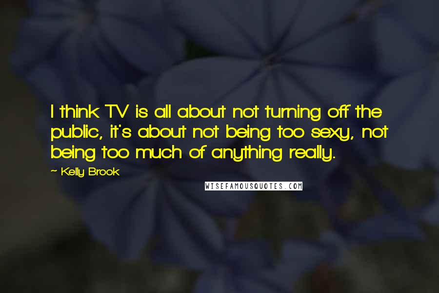 Kelly Brook Quotes: I think TV is all about not turning off the public, it's about not being too sexy, not being too much of anything really.