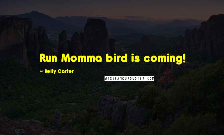 Kelly Carter Quotes: Run Momma bird is coming!