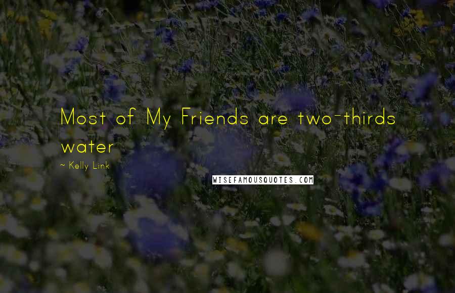 Kelly Link Quotes: Most of My Friends are two-thirds water