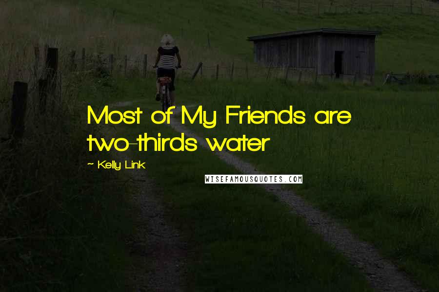 Kelly Link Quotes: Most of My Friends are two-thirds water