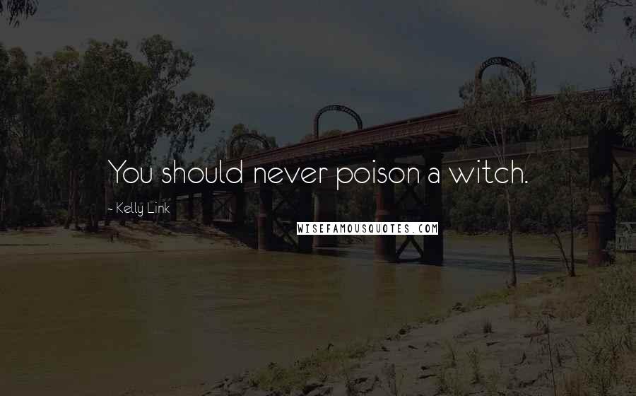 Kelly Link Quotes: You should never poison a witch.
