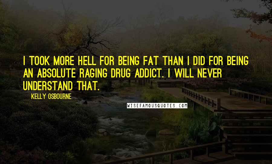 Kelly Osbourne Quotes: I took more hell for being fat than I did for being an absolute raging drug addict. I will never understand that.