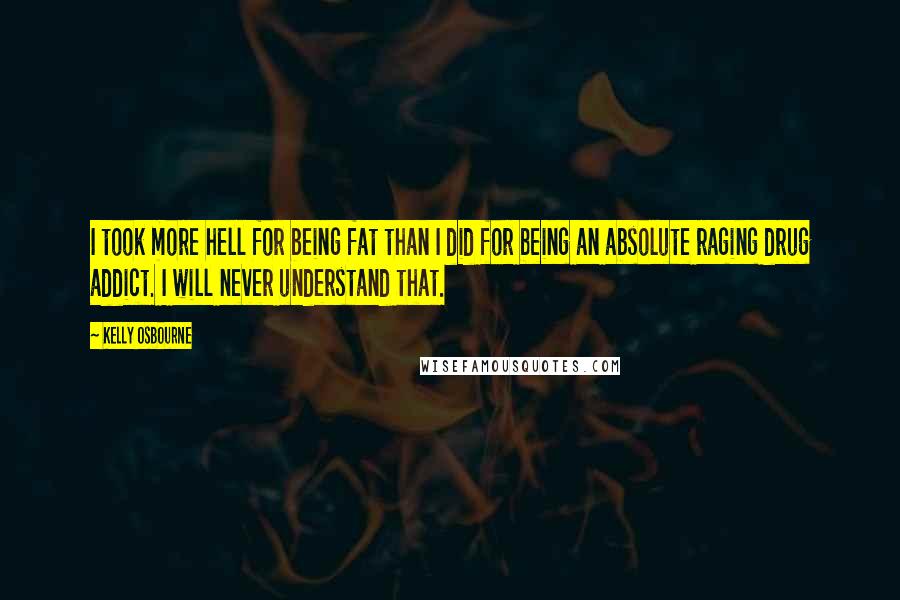 Kelly Osbourne Quotes: I took more hell for being fat than I did for being an absolute raging drug addict. I will never understand that.