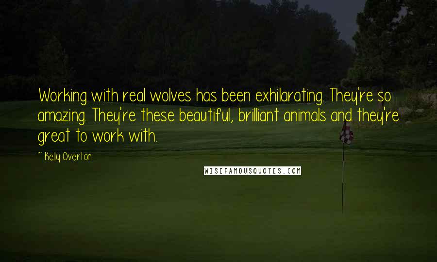 Kelly Overton Quotes: Working with real wolves has been exhilarating. They're so amazing. They're these beautiful, brilliant animals and they're great to work with.