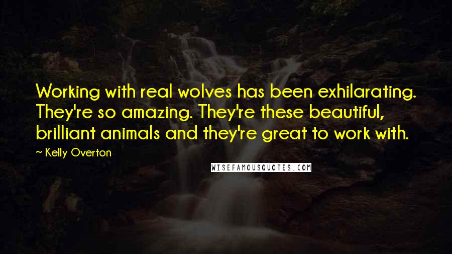 Kelly Overton Quotes: Working with real wolves has been exhilarating. They're so amazing. They're these beautiful, brilliant animals and they're great to work with.