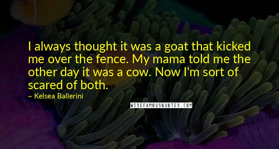 Kelsea Ballerini Quotes: I always thought it was a goat that kicked me over the fence. My mama told me the other day it was a cow. Now I'm sort of scared of both.