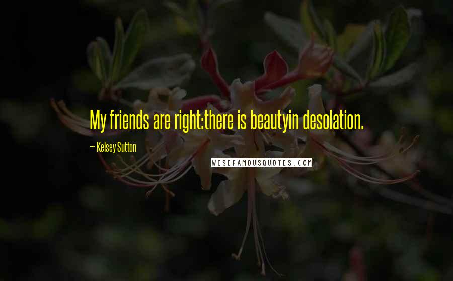 Kelsey Sutton Quotes: My friends are right:there is beautyin desolation.