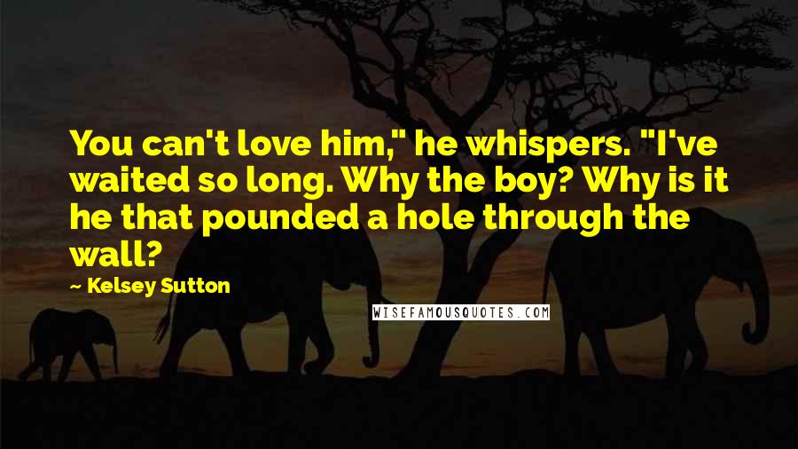 Kelsey Sutton Quotes: You can't love him," he whispers. "I've waited so long. Why the boy? Why is it he that pounded a hole through the wall?