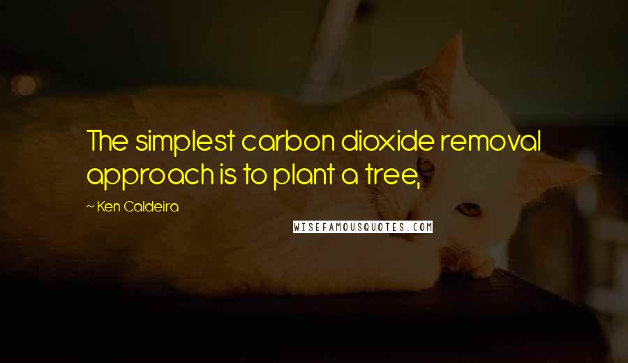 Ken Caldeira Quotes: The simplest carbon dioxide removal approach is to plant a tree,