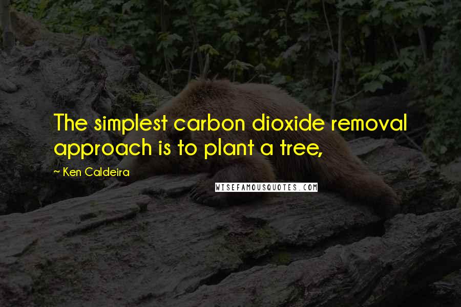 Ken Caldeira Quotes: The simplest carbon dioxide removal approach is to plant a tree,