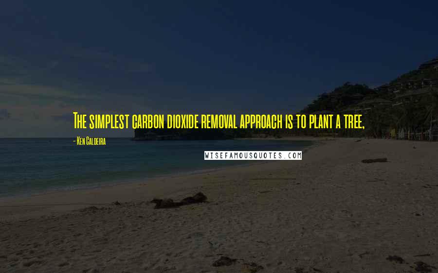 Ken Caldeira Quotes: The simplest carbon dioxide removal approach is to plant a tree,