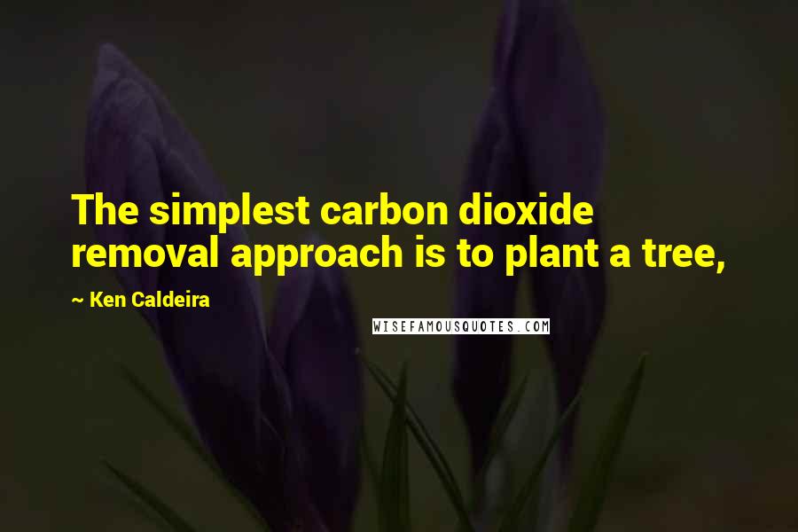 Ken Caldeira Quotes: The simplest carbon dioxide removal approach is to plant a tree,