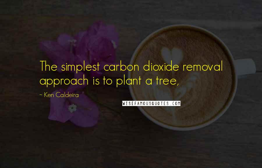 Ken Caldeira Quotes: The simplest carbon dioxide removal approach is to plant a tree,