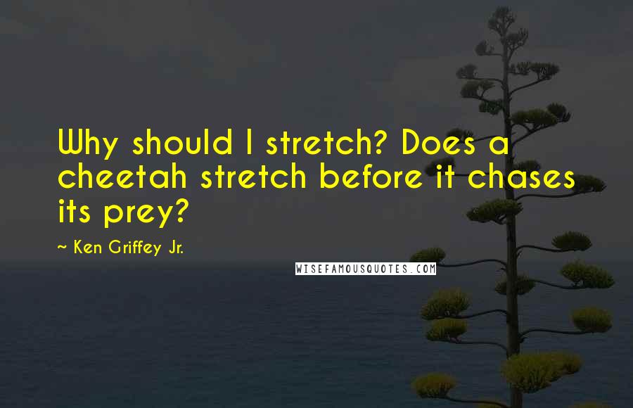 Ken Griffey Jr. Quotes: Why should I stretch? Does a cheetah stretch before it chases its prey?