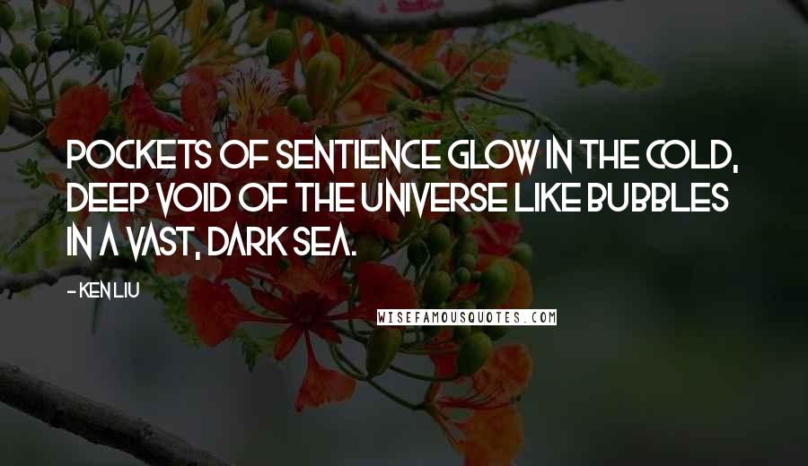 Ken Liu Quotes: Pockets of sentience glow in the cold, deep void of the universe like bubbles in a vast, dark sea.