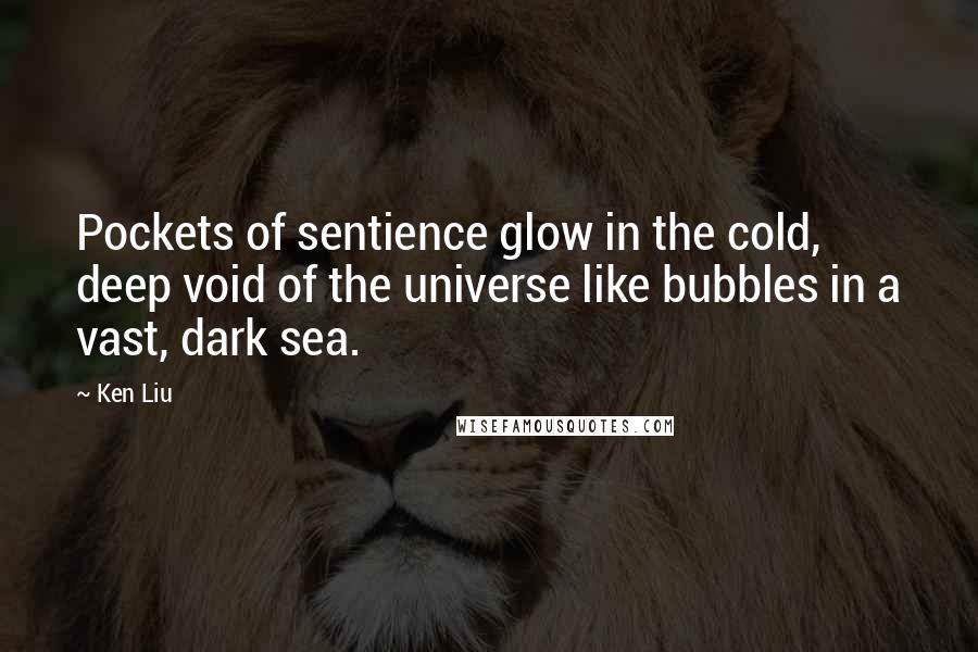 Ken Liu Quotes: Pockets of sentience glow in the cold, deep void of the universe like bubbles in a vast, dark sea.