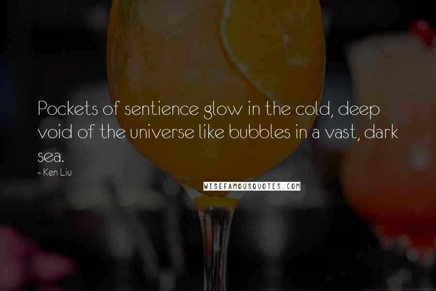 Ken Liu Quotes: Pockets of sentience glow in the cold, deep void of the universe like bubbles in a vast, dark sea.