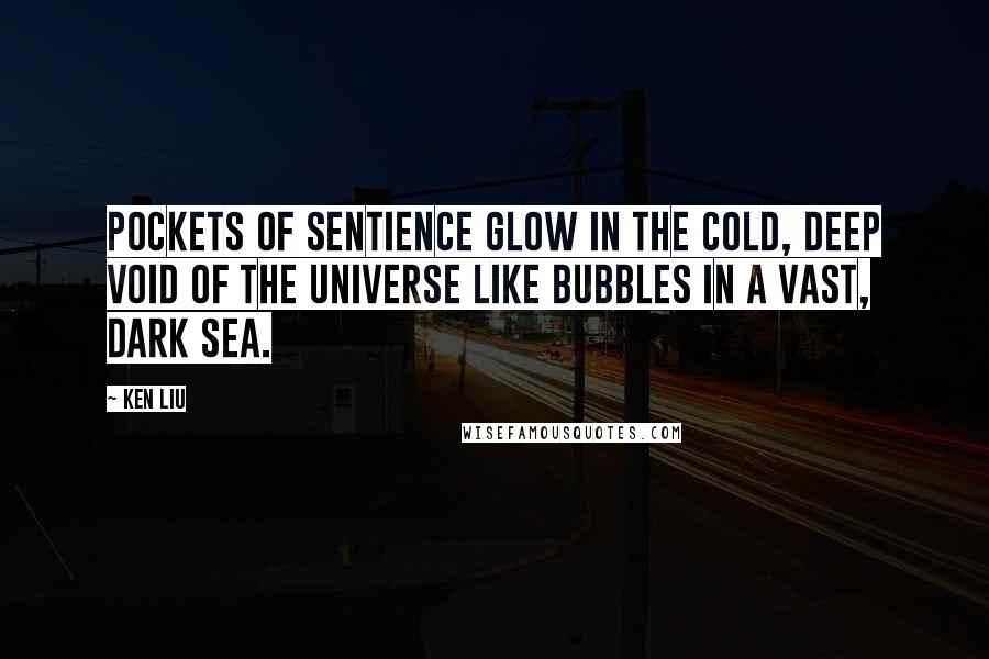 Ken Liu Quotes: Pockets of sentience glow in the cold, deep void of the universe like bubbles in a vast, dark sea.