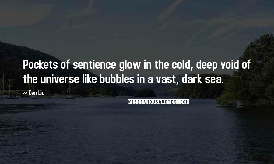 Ken Liu Quotes: Pockets of sentience glow in the cold, deep void of the universe like bubbles in a vast, dark sea.