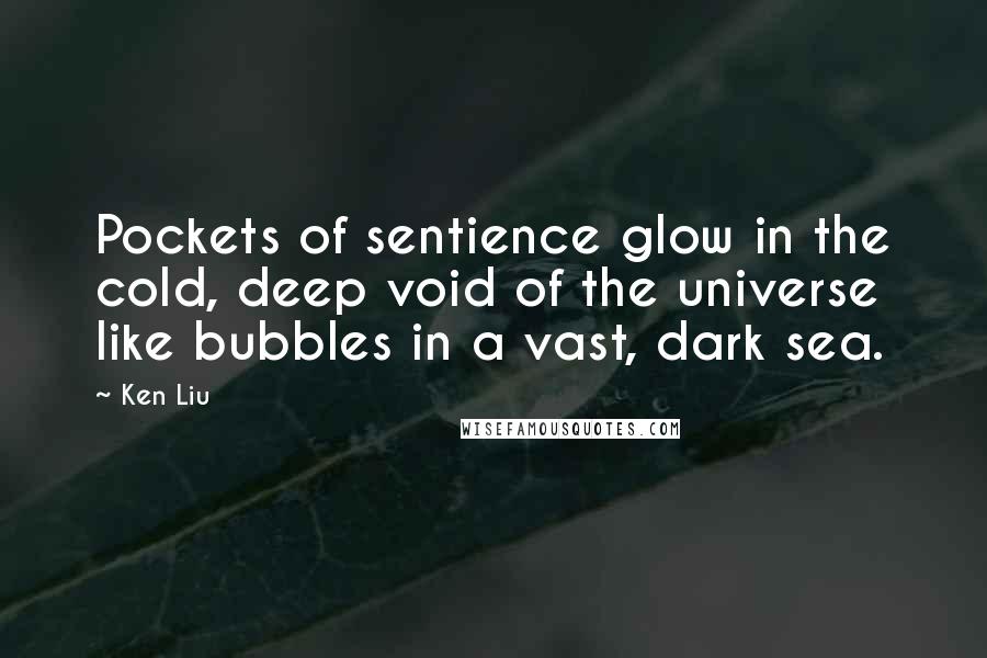 Ken Liu Quotes: Pockets of sentience glow in the cold, deep void of the universe like bubbles in a vast, dark sea.