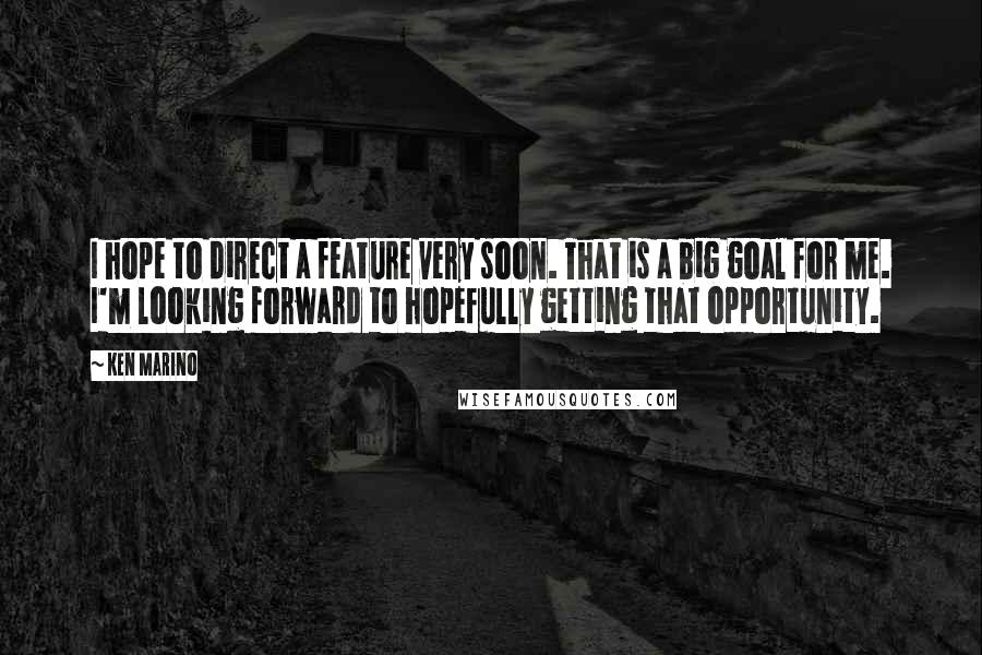 Ken Marino Quotes: I hope to direct a feature very soon. That is a big goal for me. I'm looking forward to hopefully getting that opportunity.