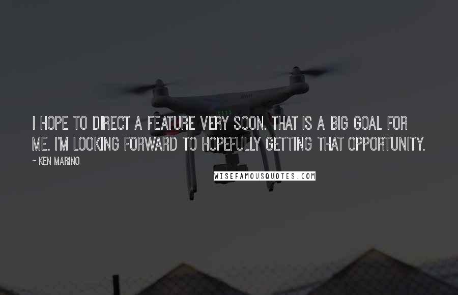 Ken Marino Quotes: I hope to direct a feature very soon. That is a big goal for me. I'm looking forward to hopefully getting that opportunity.
