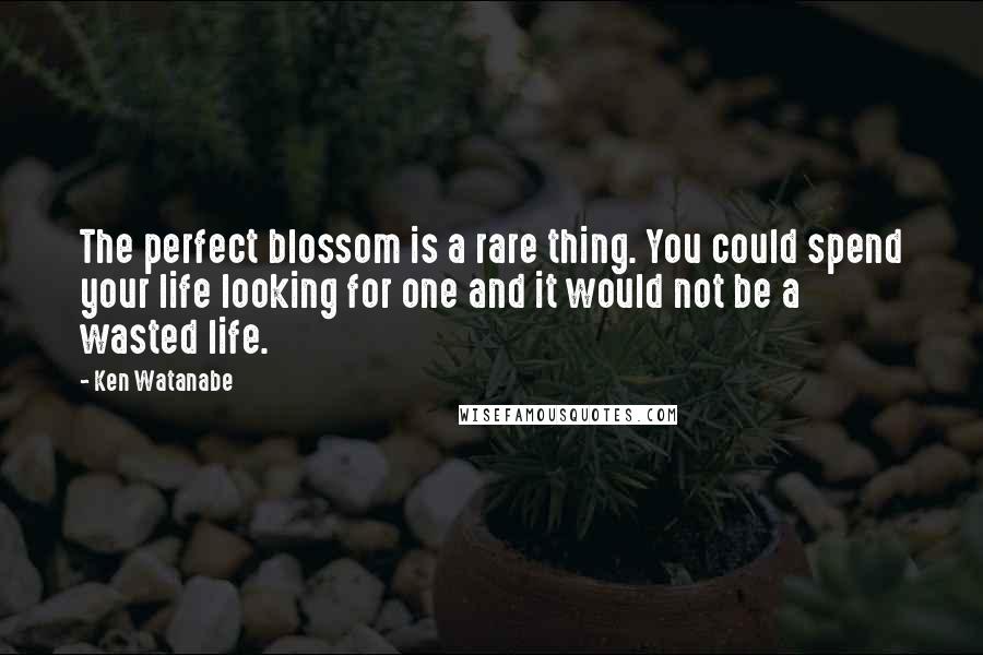 Ken Watanabe Quotes: The perfect blossom is a rare thing. You could spend your life looking for one and it would not be a wasted life.