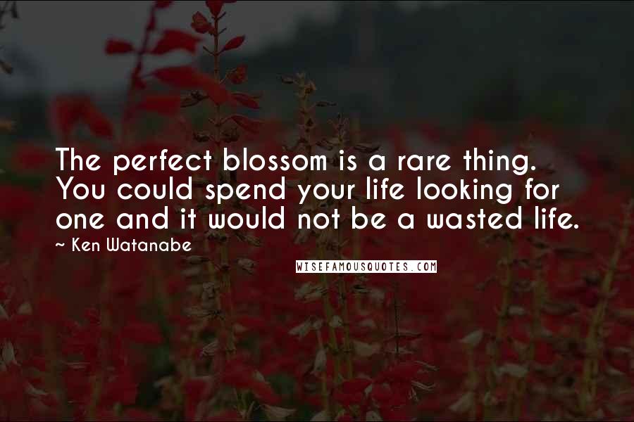 Ken Watanabe Quotes: The perfect blossom is a rare thing. You could spend your life looking for one and it would not be a wasted life.