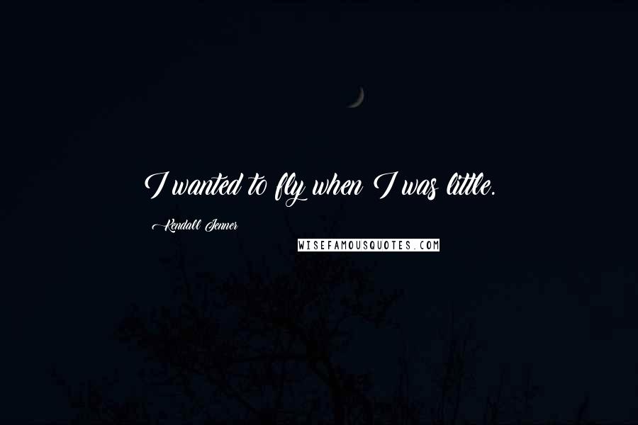 Kendall Jenner Quotes: I wanted to fly when I was little.