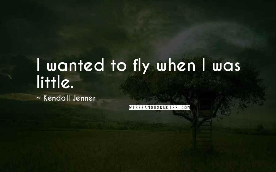 Kendall Jenner Quotes: I wanted to fly when I was little.