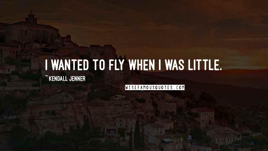 Kendall Jenner Quotes: I wanted to fly when I was little.