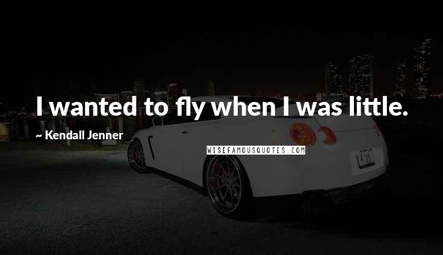 Kendall Jenner Quotes: I wanted to fly when I was little.