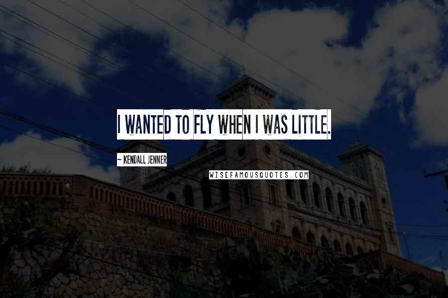 Kendall Jenner Quotes: I wanted to fly when I was little.