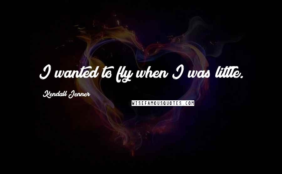 Kendall Jenner Quotes: I wanted to fly when I was little.